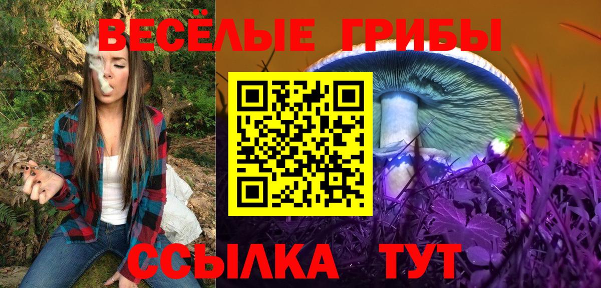 Псилоцибиновые грибы Magic Shrooms Александров